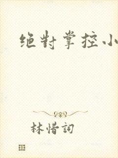 绝对掌控小说封面