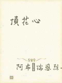 顶花心封面