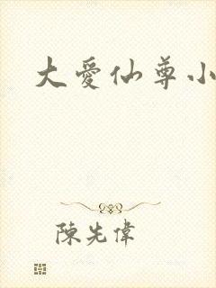 大爱仙尊小说
