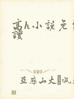 高h小说免费阅读