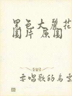 黑色大丽花真实图片 原图