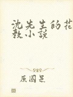 沈先生的花式调教小说封面