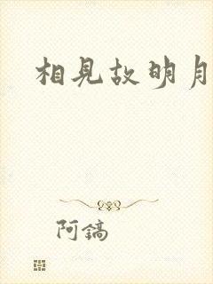 相见故明月