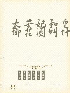 太子妃和皇帝在御花园叫什么小说封面