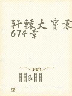 轩辕大宝袁雪妃674章封面