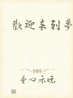 欢迎来到梦乐园封面