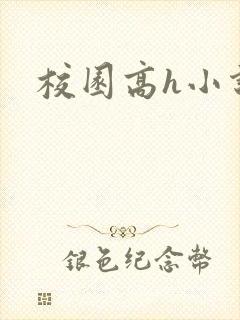校园高h小说