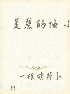 美丽的他 小说封面