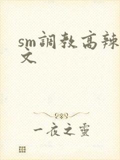 sm调教高辣h文