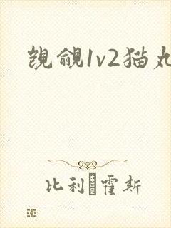 觊觎1v2猫丸封面