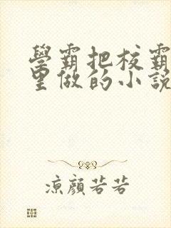 学霸把校霸往死里做的小说