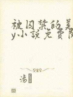 被囚禁的美人by小说免费阅读