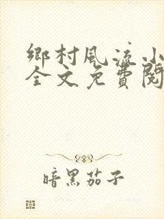 乡村风流小傻子全文免费阅读