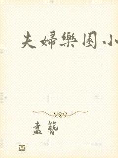 夫妇乐园小说