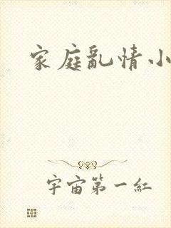 家庭乱情小说