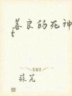 善良的死神txt