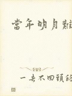 当年明月难寻封面