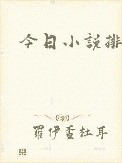 今日小说排行榜封面