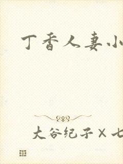 丁香人妻小说
