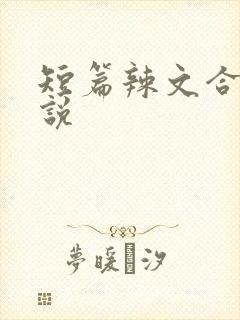 短篇辣文合集小说