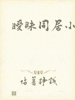 暧昧同居小说