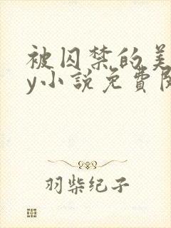 被囚禁的美人by小说免费阅读