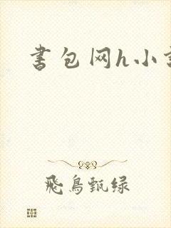 书包网h小说