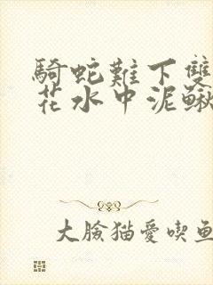 骑蛇难下双金银花水中泥鳅双男主