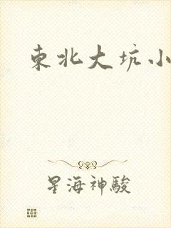 东北大坑小说