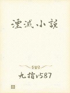 湮灭小说