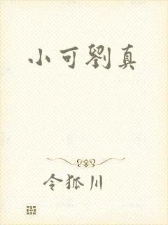 小可刘真