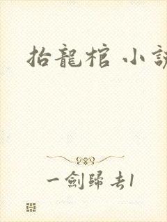 抬龙棺 小说