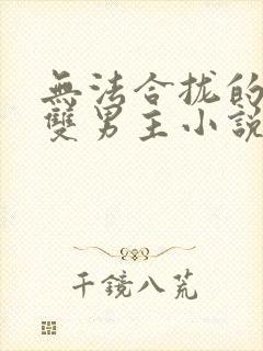 无法合拢的总裁双男主小说