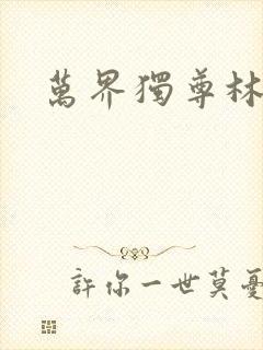万界独尊林枫封面
