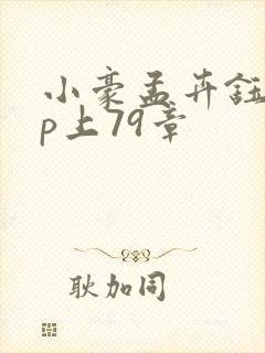 小豪孟卉钰慧三p上79章封面