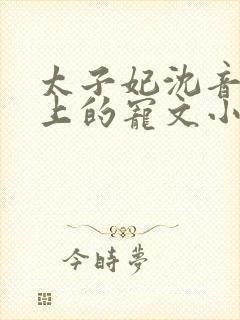太子妃沈音和皇上的宠文小说