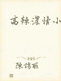 高辣浓情小说