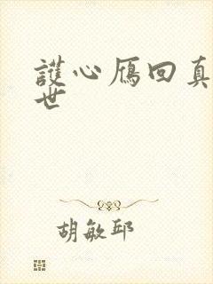 护心雁回真实身世封面