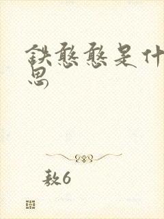 铁憨憨是什么意思封面