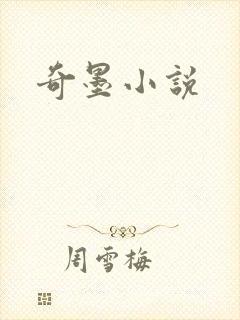 奇墨小说封面
