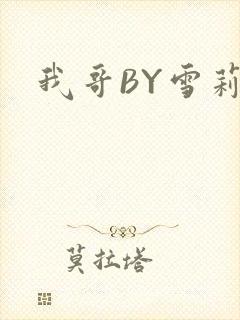 我哥BY雪莉封面