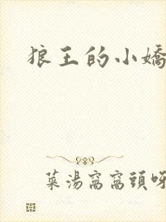 狼王的小娇妻封面