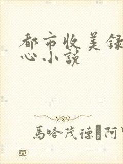 都市收美录宁素心小说