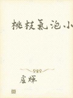 桃枝气泡小说