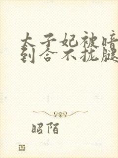太子妃被暗卫C到合不拢腿