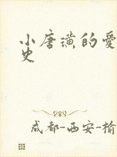 小唐璜的爱情历史封面