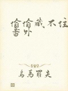 偷偷藏不住新婚番外