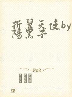 折翼天使by太阳黑子封面