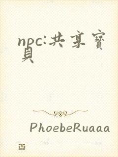 npc:共享宝贝