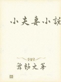 小夫妻小说